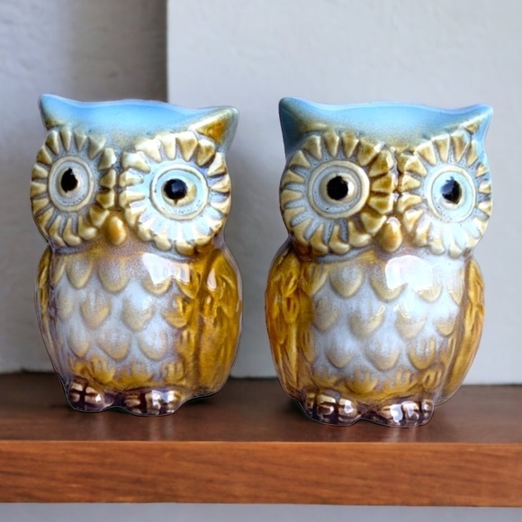 Blue Owl Salt and Pepper Shaker Set Glazed Ceramic Owl Decor 2 Piece Set - Picture 8 of 14